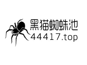 网站推广外链